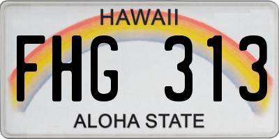HI license plate FHG313