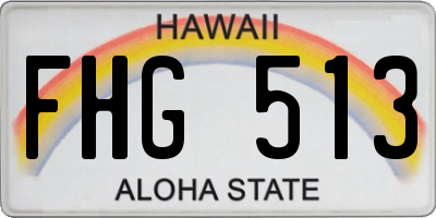 HI license plate FHG513