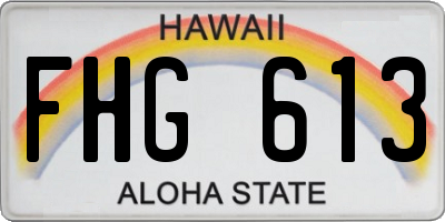 HI license plate FHG613
