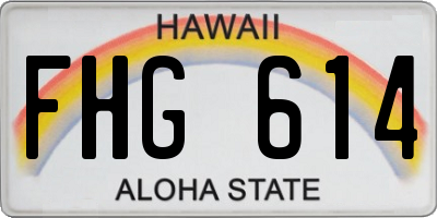 HI license plate FHG614