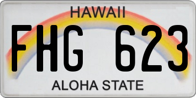 HI license plate FHG623