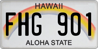 HI license plate FHG901