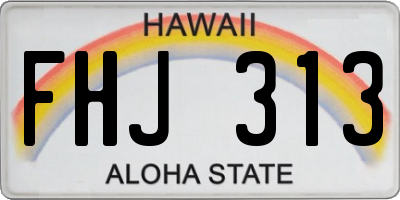 HI license plate FHJ313