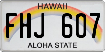 HI license plate FHJ607