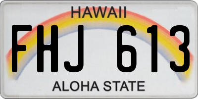 HI license plate FHJ613