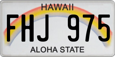 HI license plate FHJ975