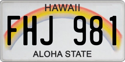 HI license plate FHJ981