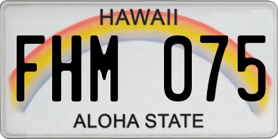 HI license plate FHM075