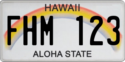 HI license plate FHM123