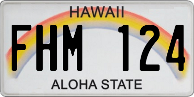 HI license plate FHM124
