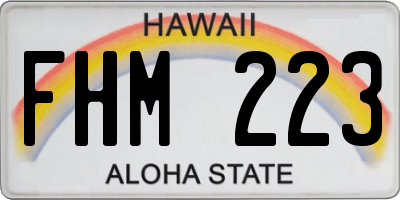 HI license plate FHM223