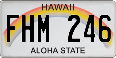 HI license plate FHM246