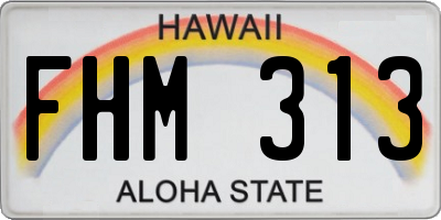 HI license plate FHM313