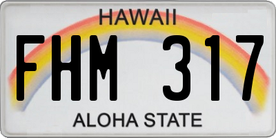HI license plate FHM317