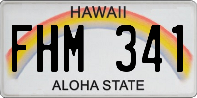 HI license plate FHM341