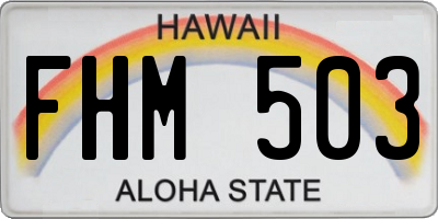 HI license plate FHM503