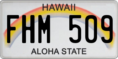 HI license plate FHM509