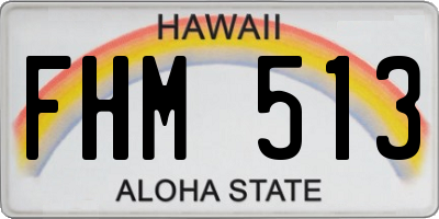 HI license plate FHM513