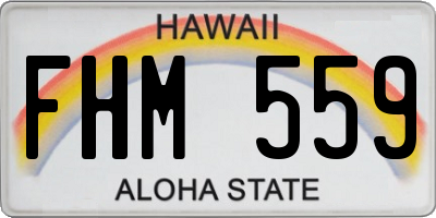 HI license plate FHM559