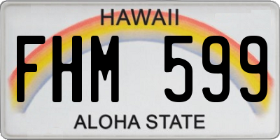 HI license plate FHM599