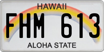HI license plate FHM613