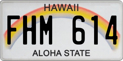 HI license plate FHM614
