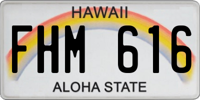 HI license plate FHM616