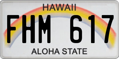 HI license plate FHM617