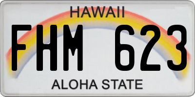 HI license plate FHM623