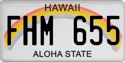 HI license plate FHM655