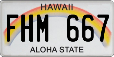 HI license plate FHM667