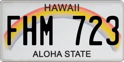 HI license plate FHM723