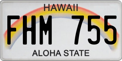 HI license plate FHM755