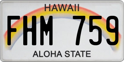 HI license plate FHM759