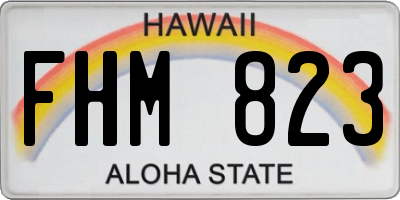 HI license plate FHM823