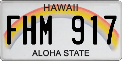 HI license plate FHM917