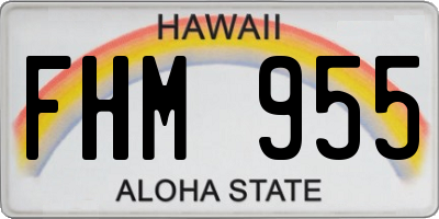 HI license plate FHM955