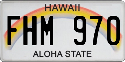 HI license plate FHM970
