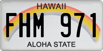 HI license plate FHM971