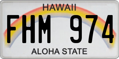 HI license plate FHM974