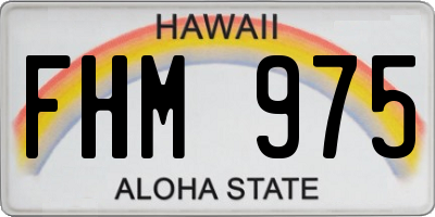 HI license plate FHM975