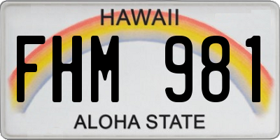 HI license plate FHM981