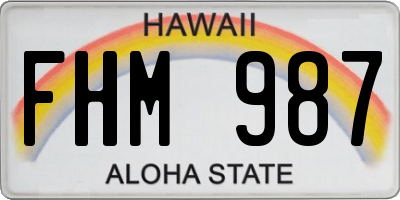 HI license plate FHM987