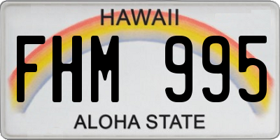 HI license plate FHM995