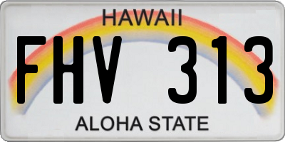 HI license plate FHV313