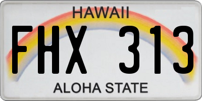 HI license plate FHX313