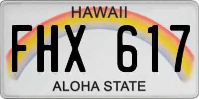 HI license plate FHX617