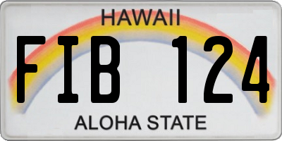 HI license plate FIB124