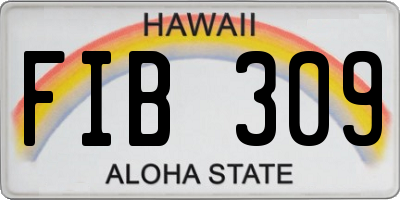 HI license plate FIB309