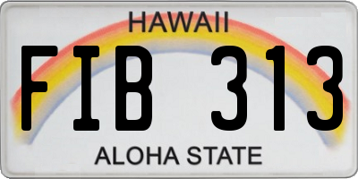 HI license plate FIB313
